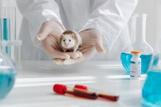 クルエルティフリーについて:Snow fox skincare