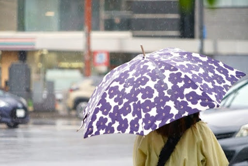 【気象による不調対策に】ブルーグリーンアルジーのおすすめ
